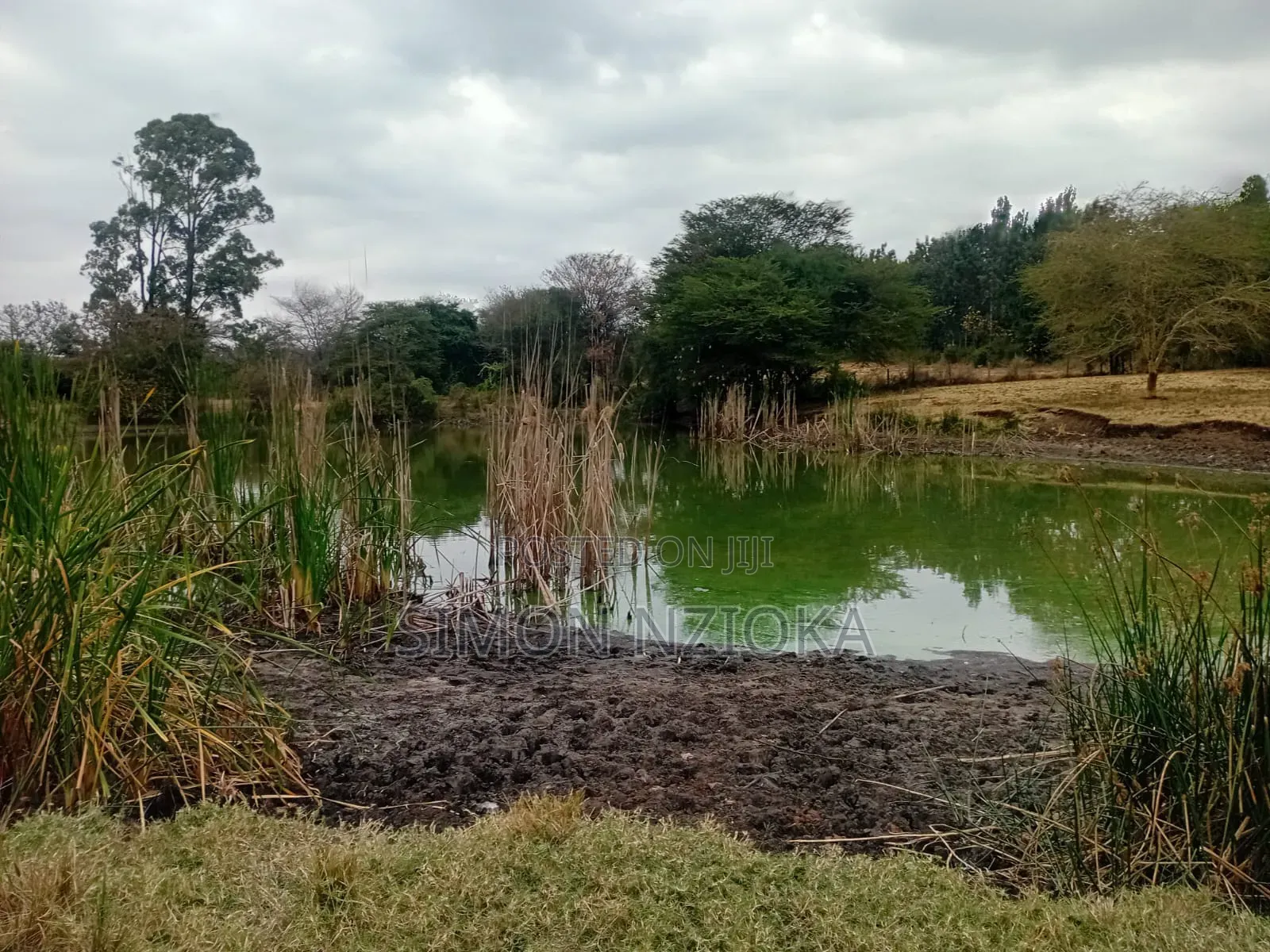 Prime Land 7 Acres for Sale in Matuu Machakos