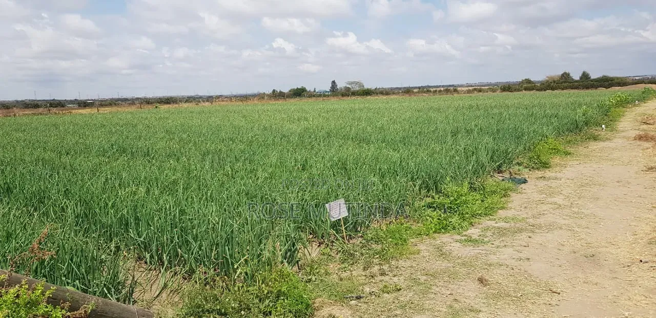 10acres at Isinya