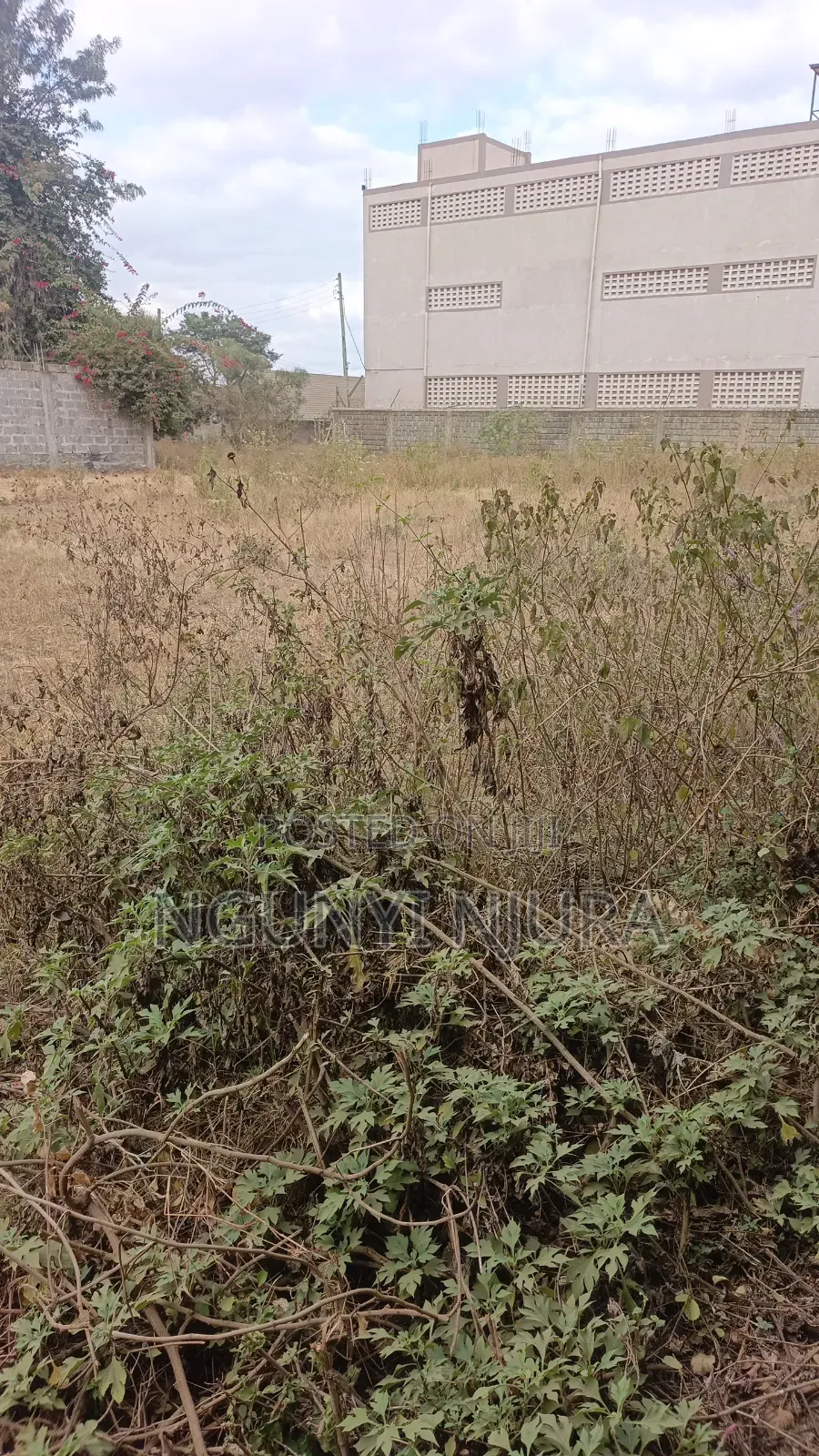 Commercial Plot 100ftx50ft in Kamakis
