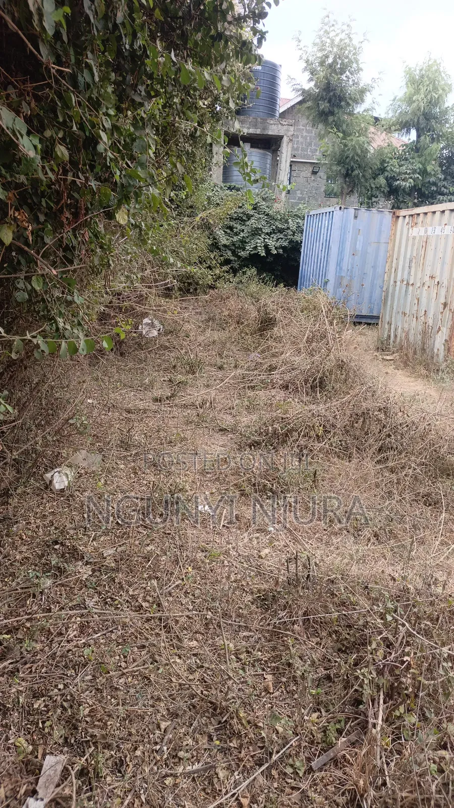 Commercial Plot 100ftx50ft in Kamakis