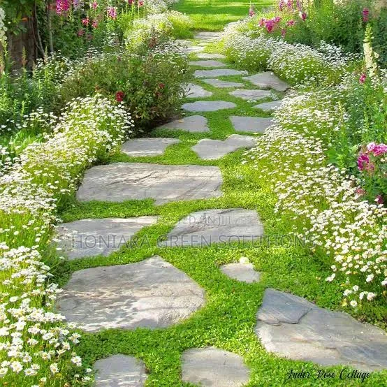 Landscaping and Gardening Services