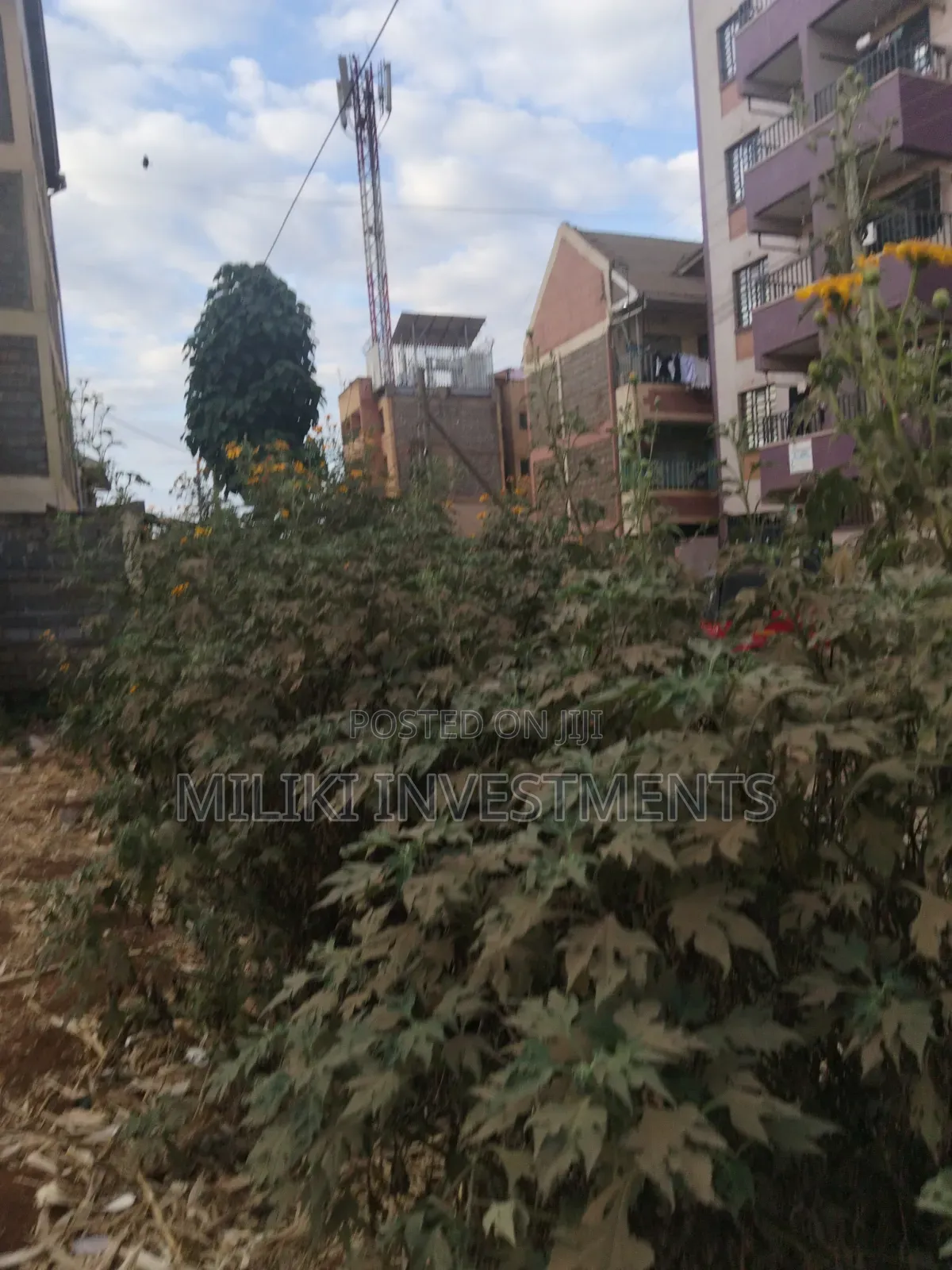 40 by 80 Ft Plots on Sale at Thika-Makongeni -Nanasi Esstate