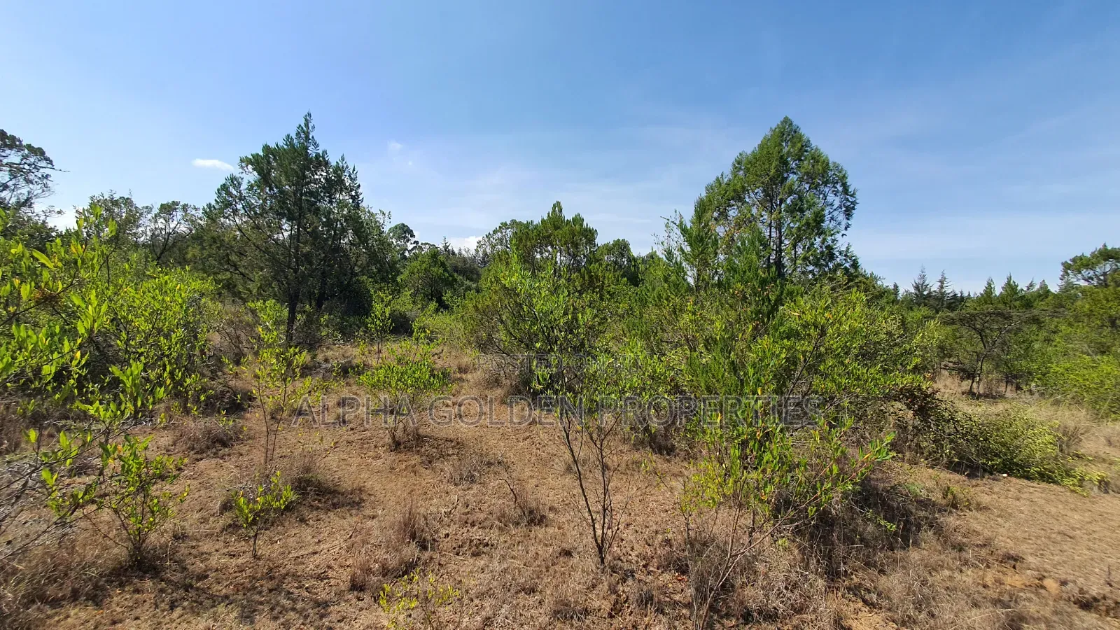 2 Acres in Nanyuki Airstrip Area