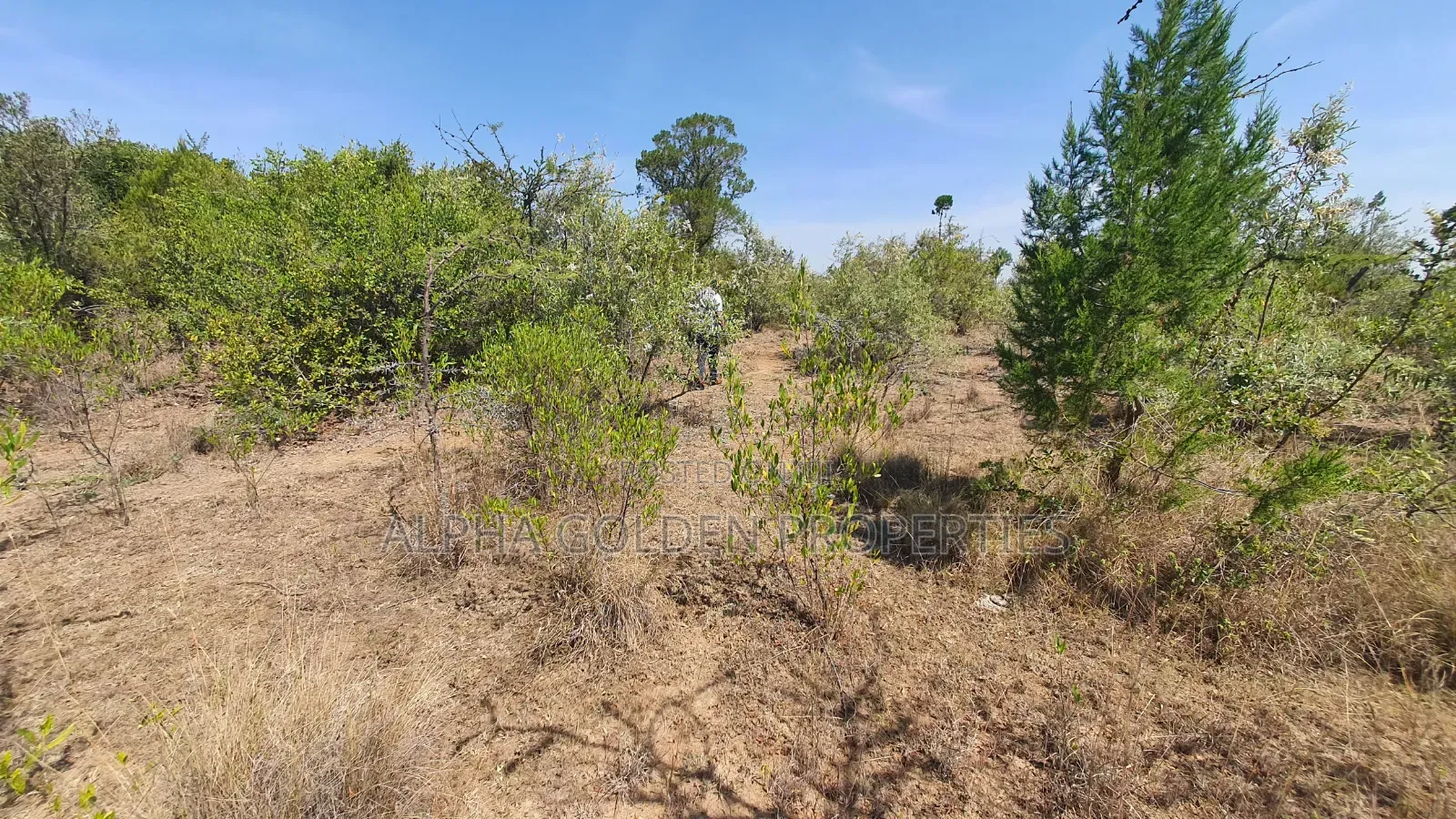 2 Acres in Nanyuki Airstrip Area