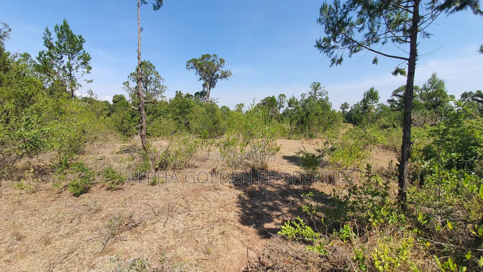 2 Acres in Nanyuki Airstrip Area