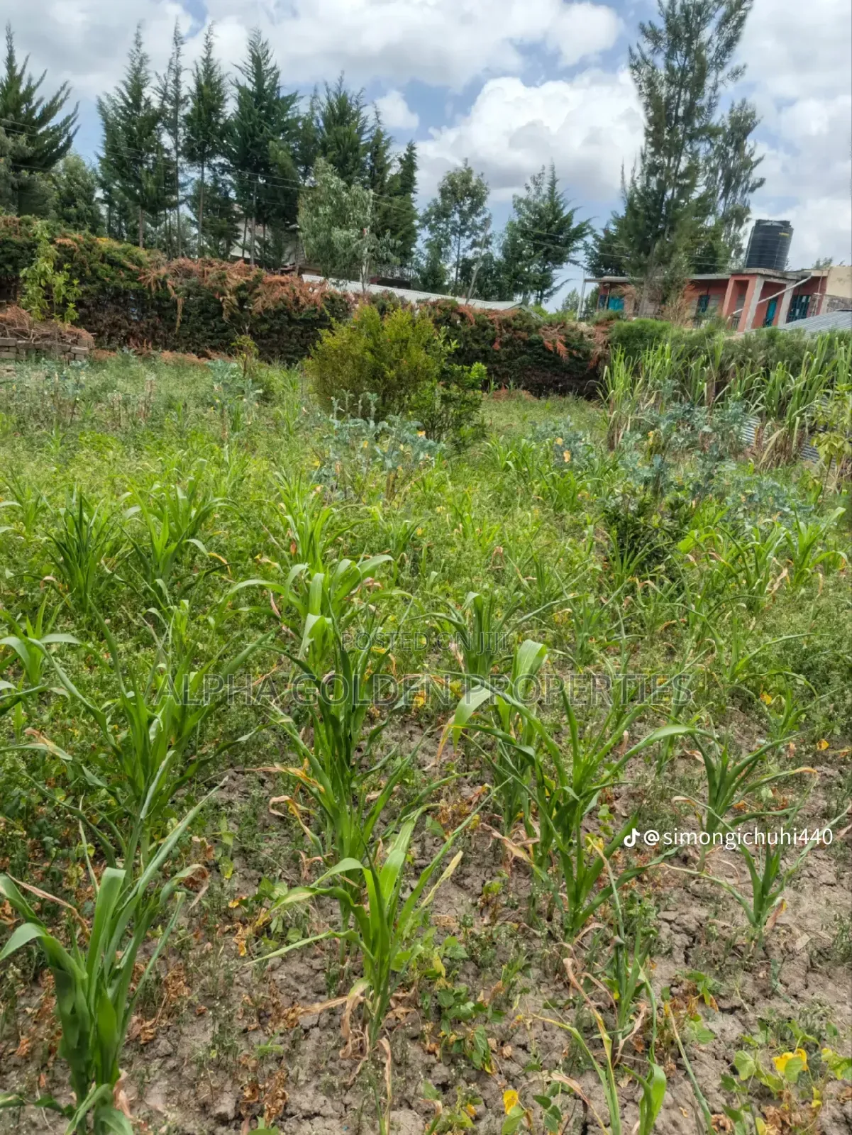 1/4 Plot in Nanyuki