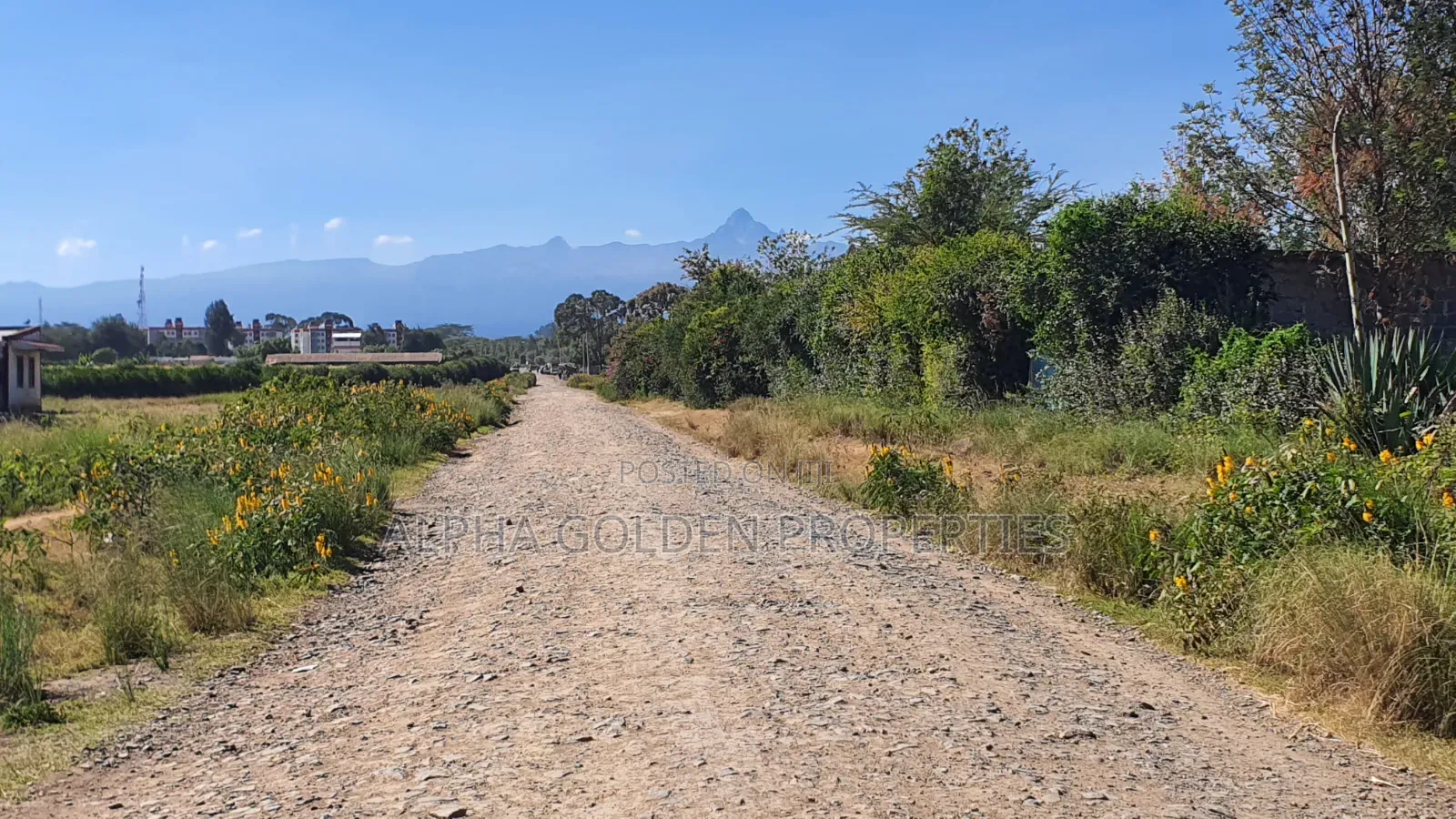 Plot for Sale in Runda Nanyuki