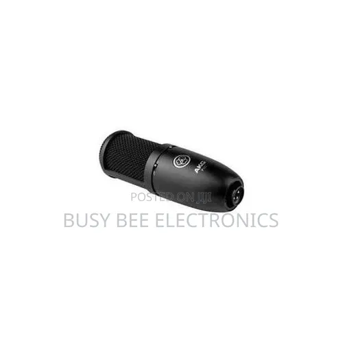 AKG P120 Cardioid Condenser Microphone (Black)