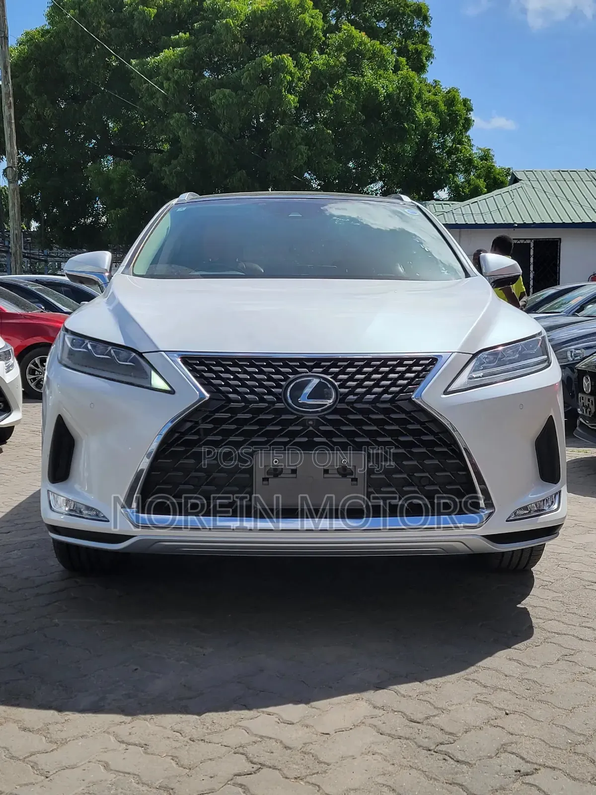 Lexus NX 2020 White