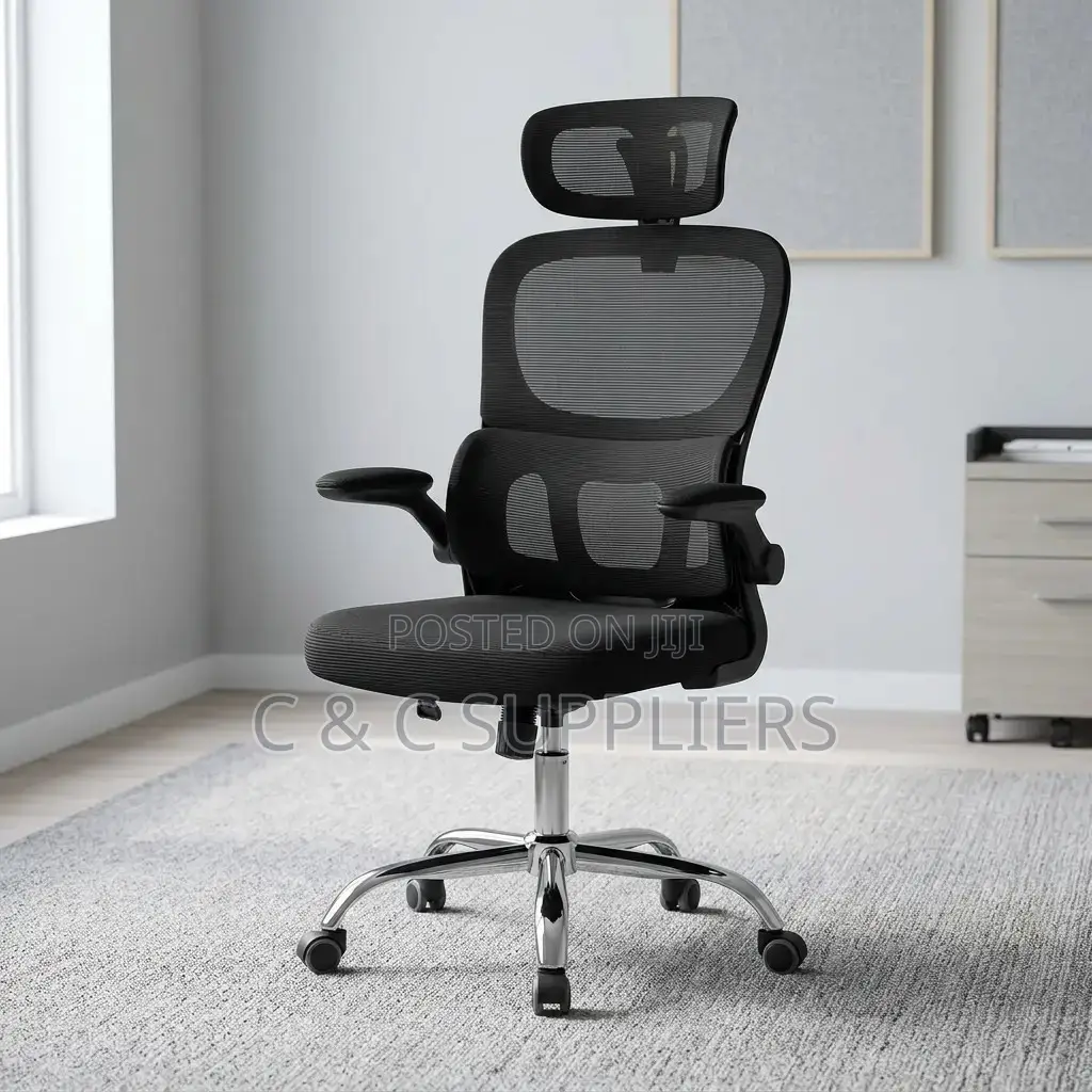 Orthopedic Home Chair With Flip Arm's