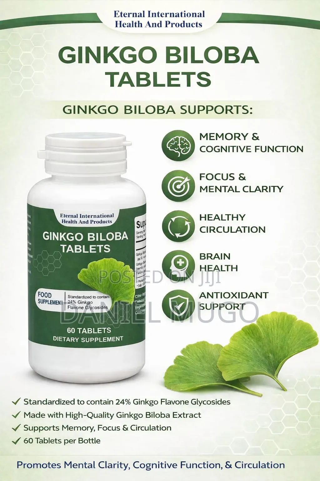 Ginko Biloba Tablets