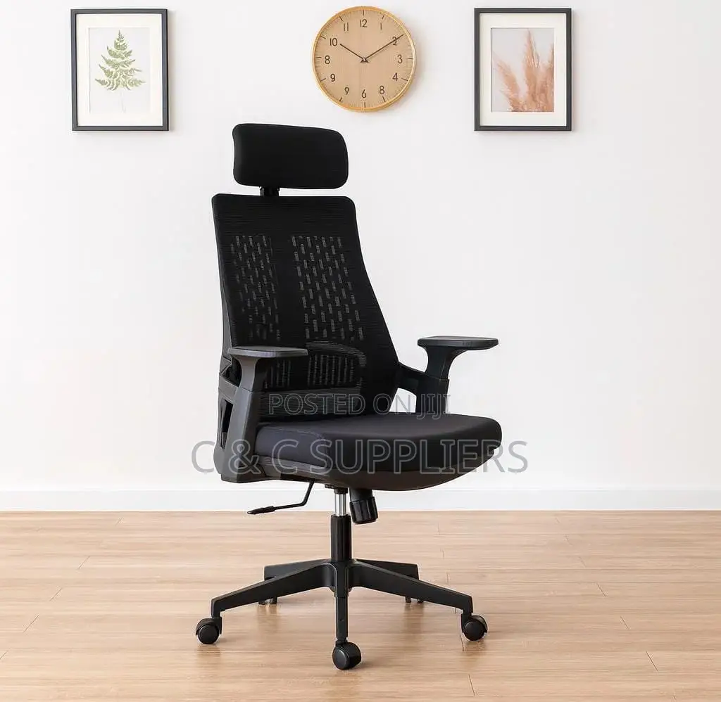 Lama Ergonomic Mesh Chair.
