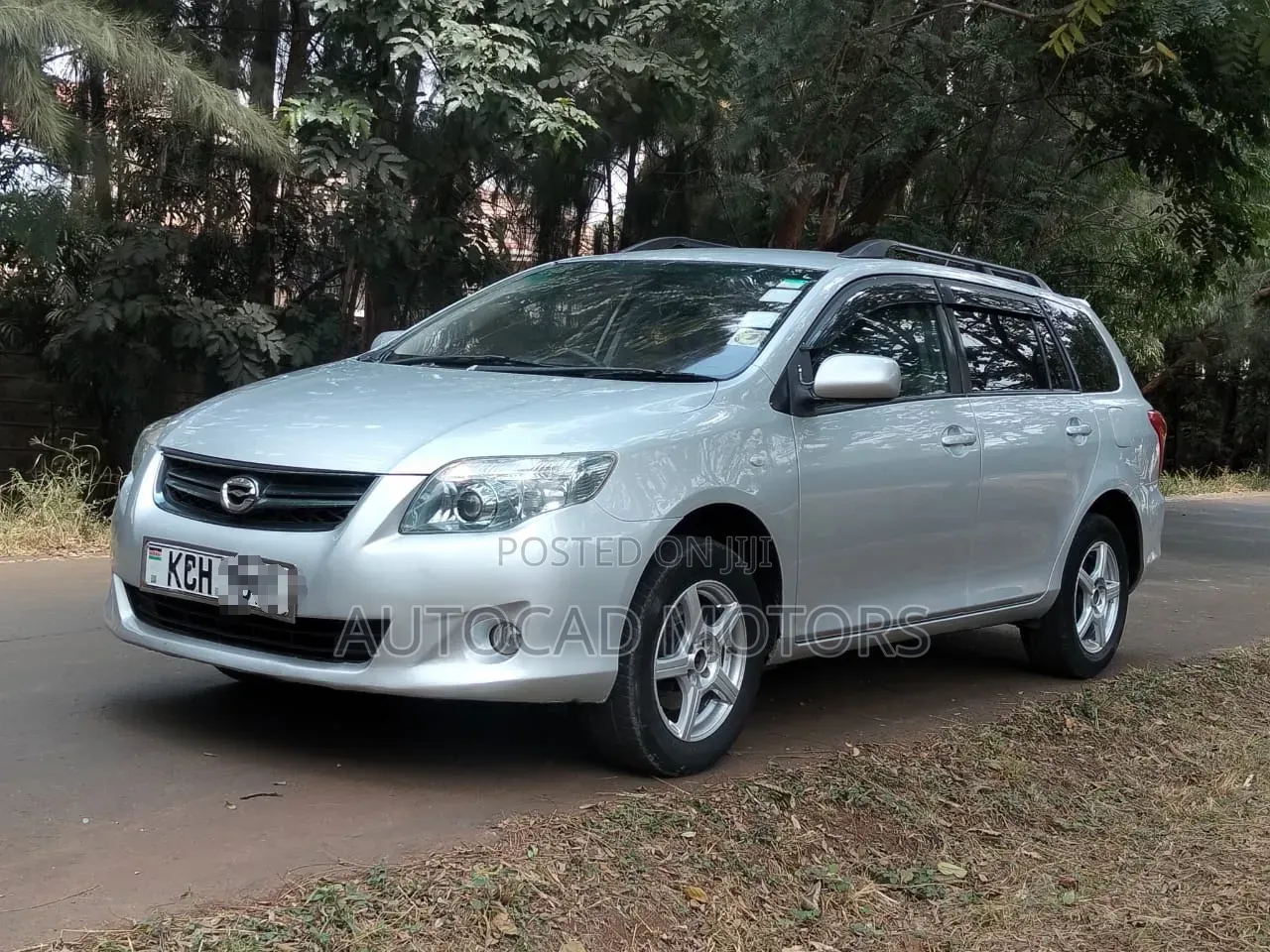 Toyota Corolla Fielder 2009 Silver