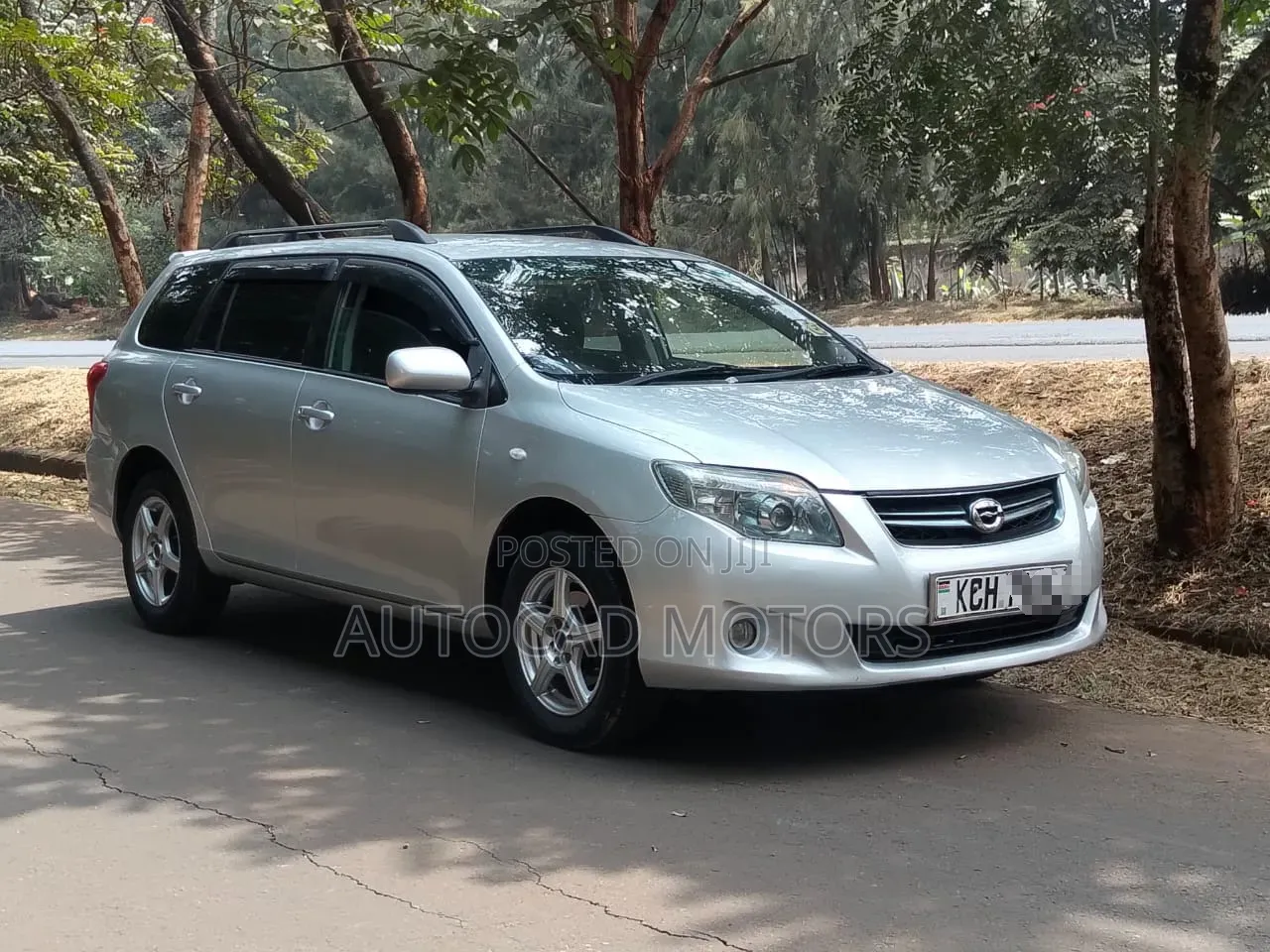 Toyota Corolla Fielder 2009 Silver
