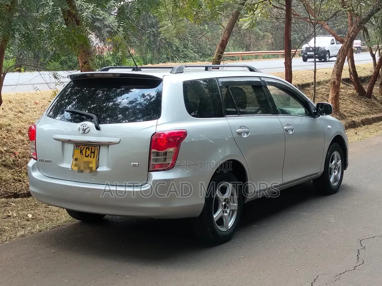 Toyota Corolla Fielder 2009 Silver