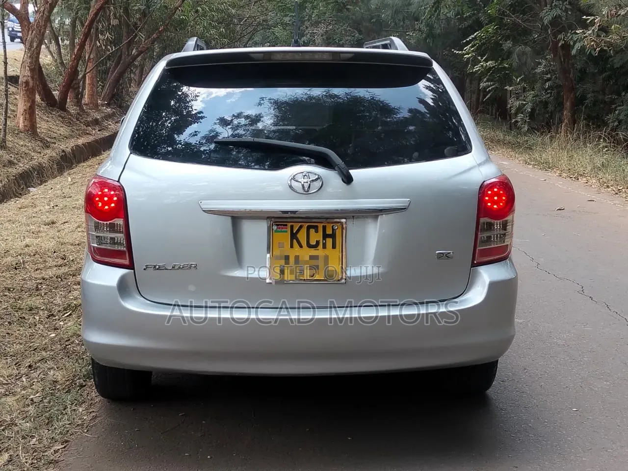 Toyota Corolla Fielder 2009 Silver