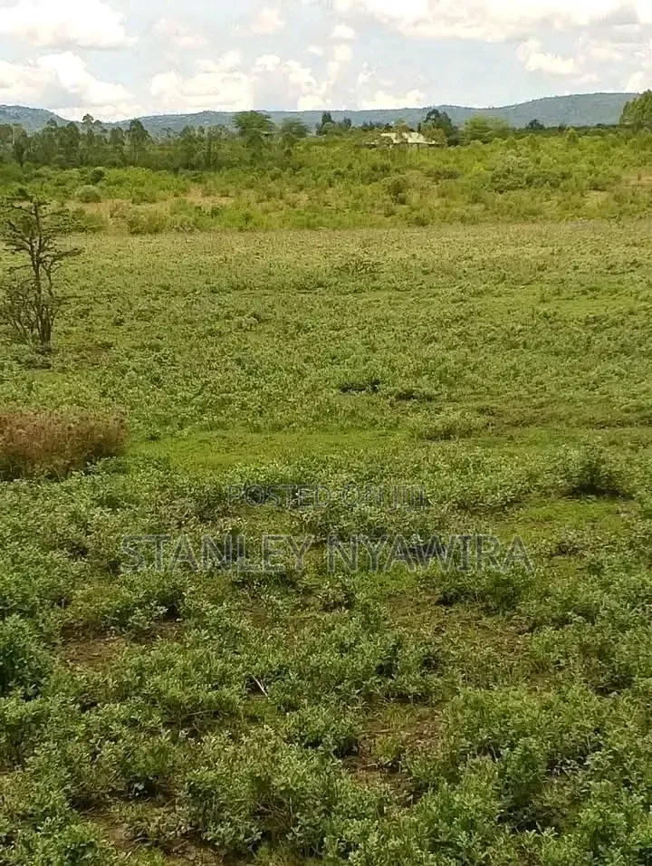 6 Acreas Nanyuki Mukima