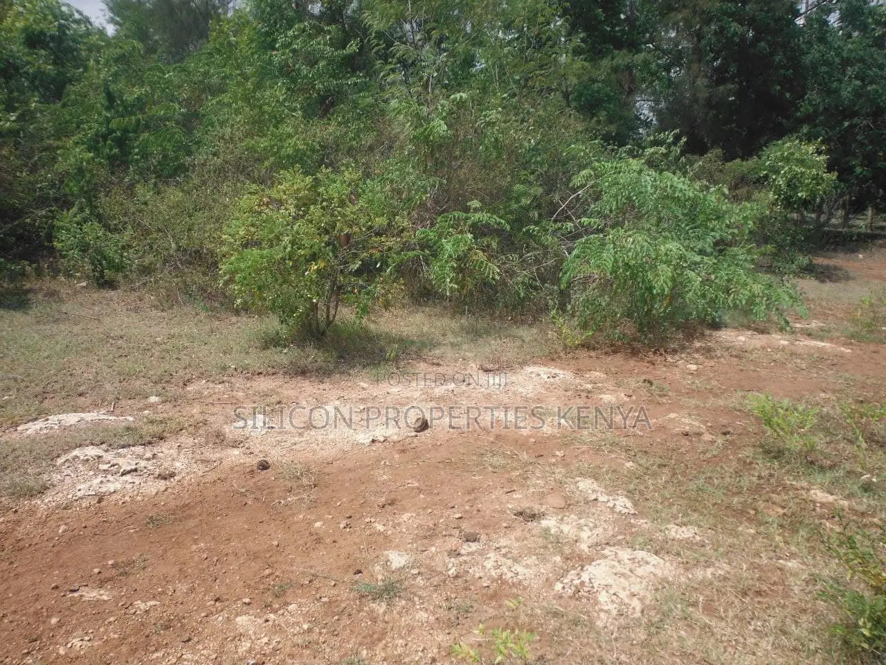1 Acre for Sale in Msambweni - Just 2 Minutes From the Ocean!