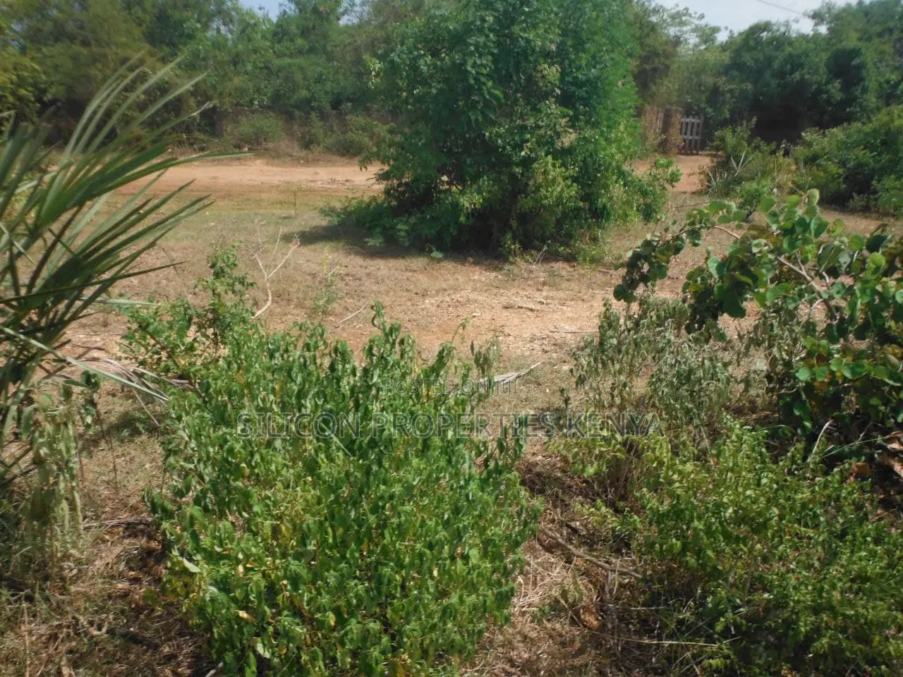 1 Acre for Sale in Msambweni - Just 2 Minutes From the Ocean!