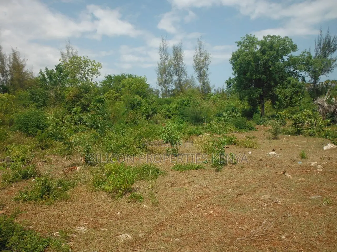 1 Acre for Sale in Msambweni - Just 2 Minutes From the Ocean!