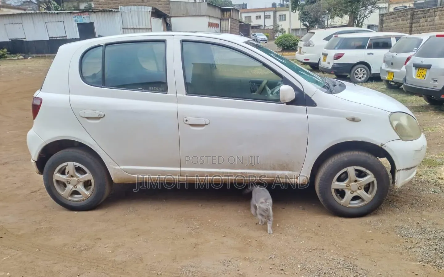 Toyota Vitz 2004 White