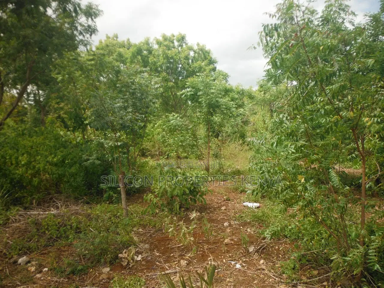 1 Acre for Sale in Msambweni
