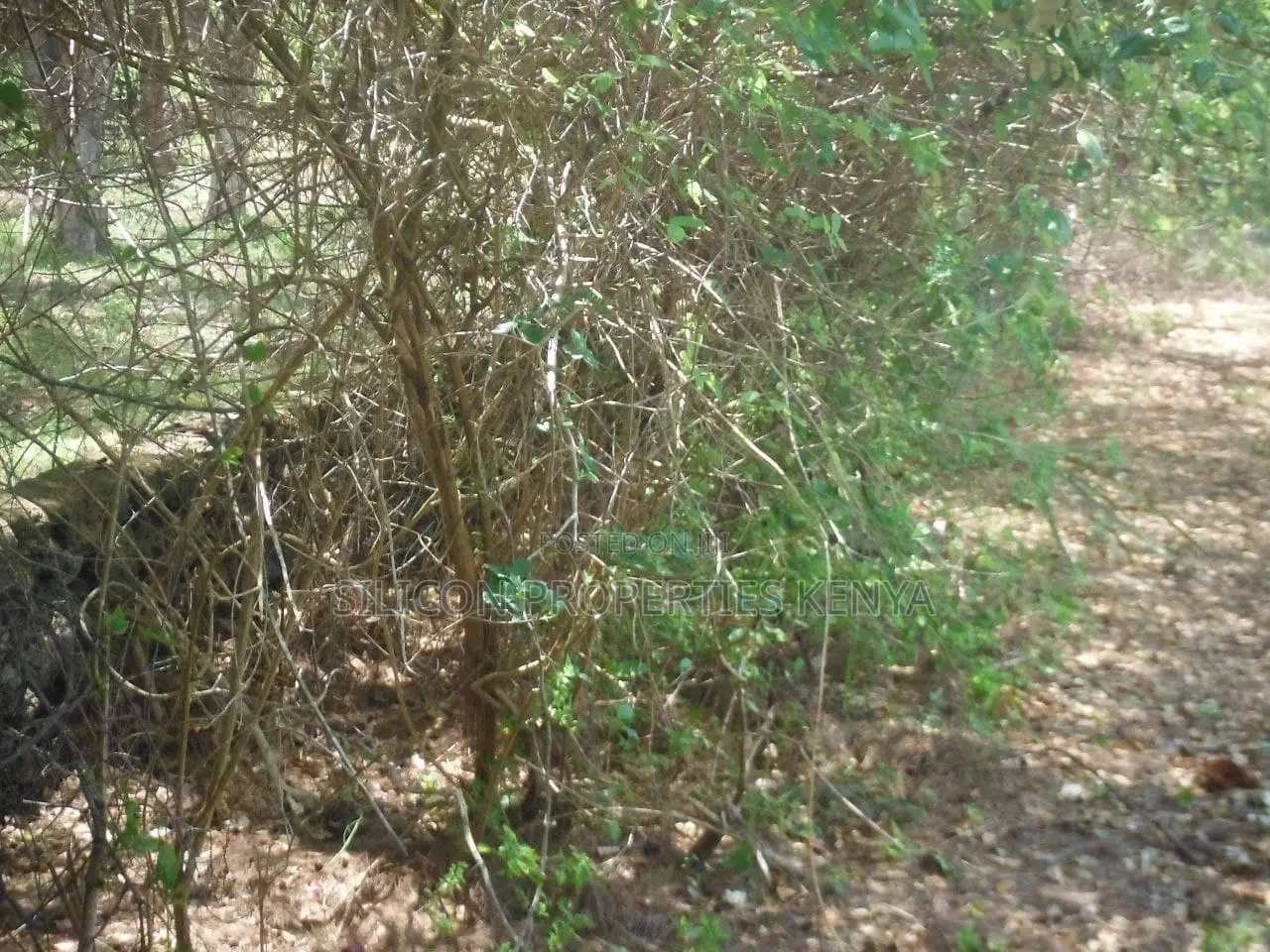 2-Acre Prime Plot in Ukunda Next to a High-Value Home