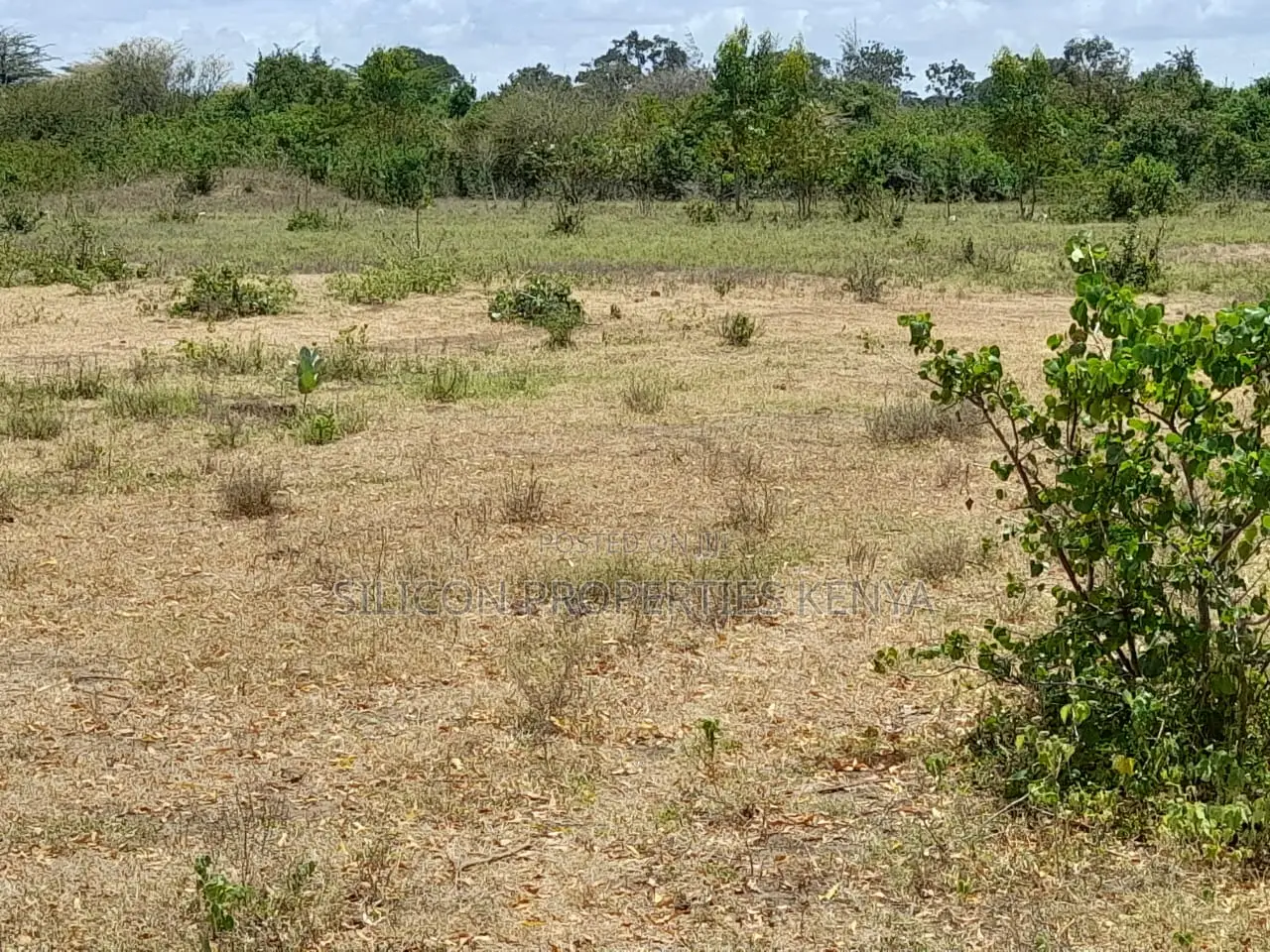 Own a Piece of Serene Land in Kidomaya, Kwale County