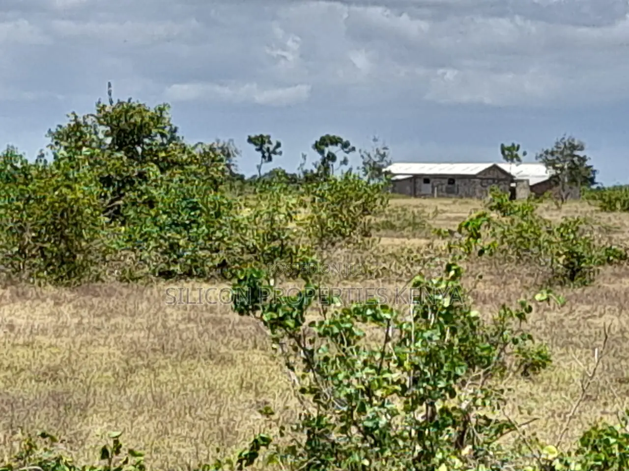 Own a Piece of Serene Land in Kidomaya, Kwale County