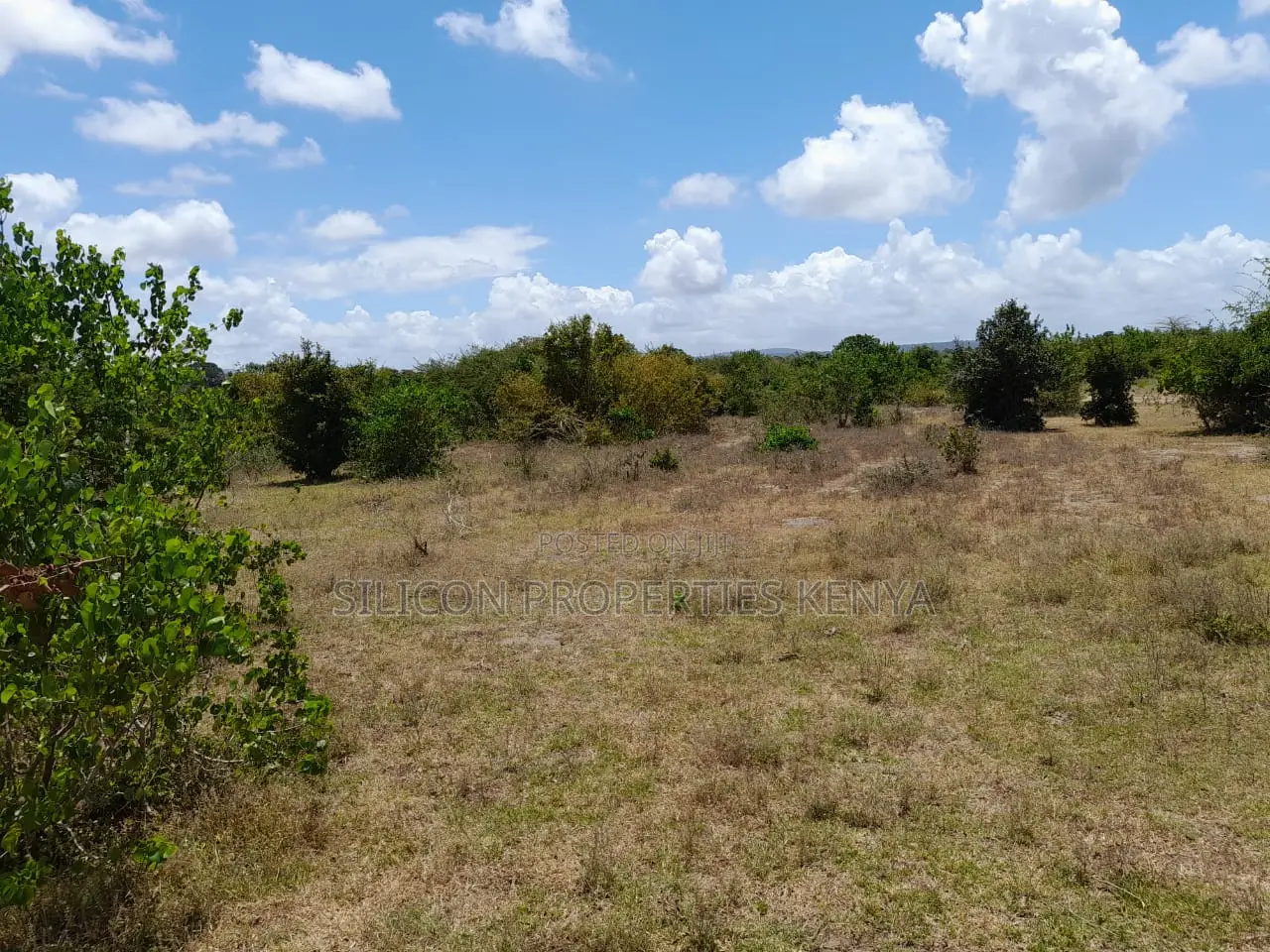 Own a Piece of Serene Land in Kidomaya, Kwale County