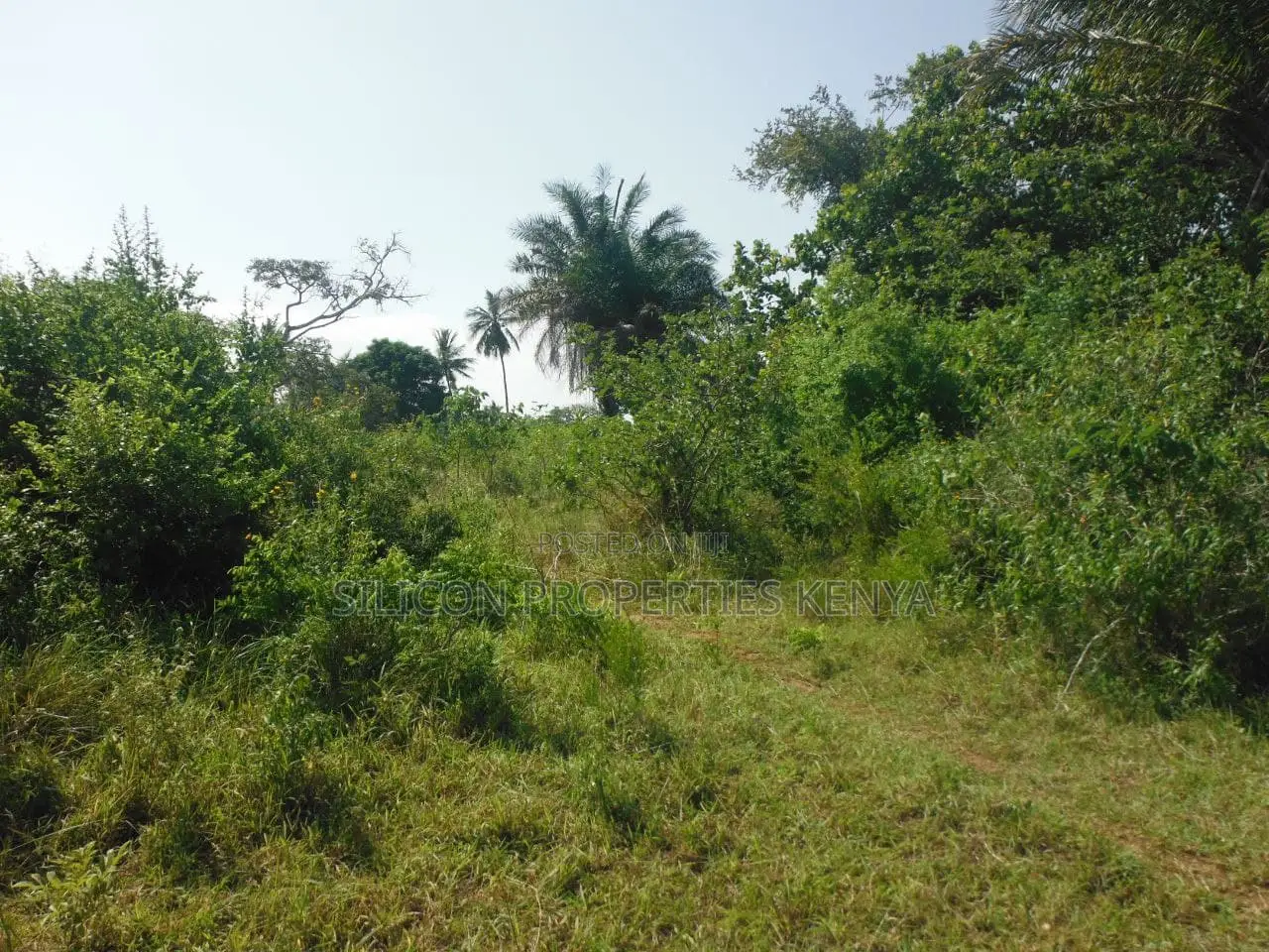 2-Acre Coastal Land in Msambweni