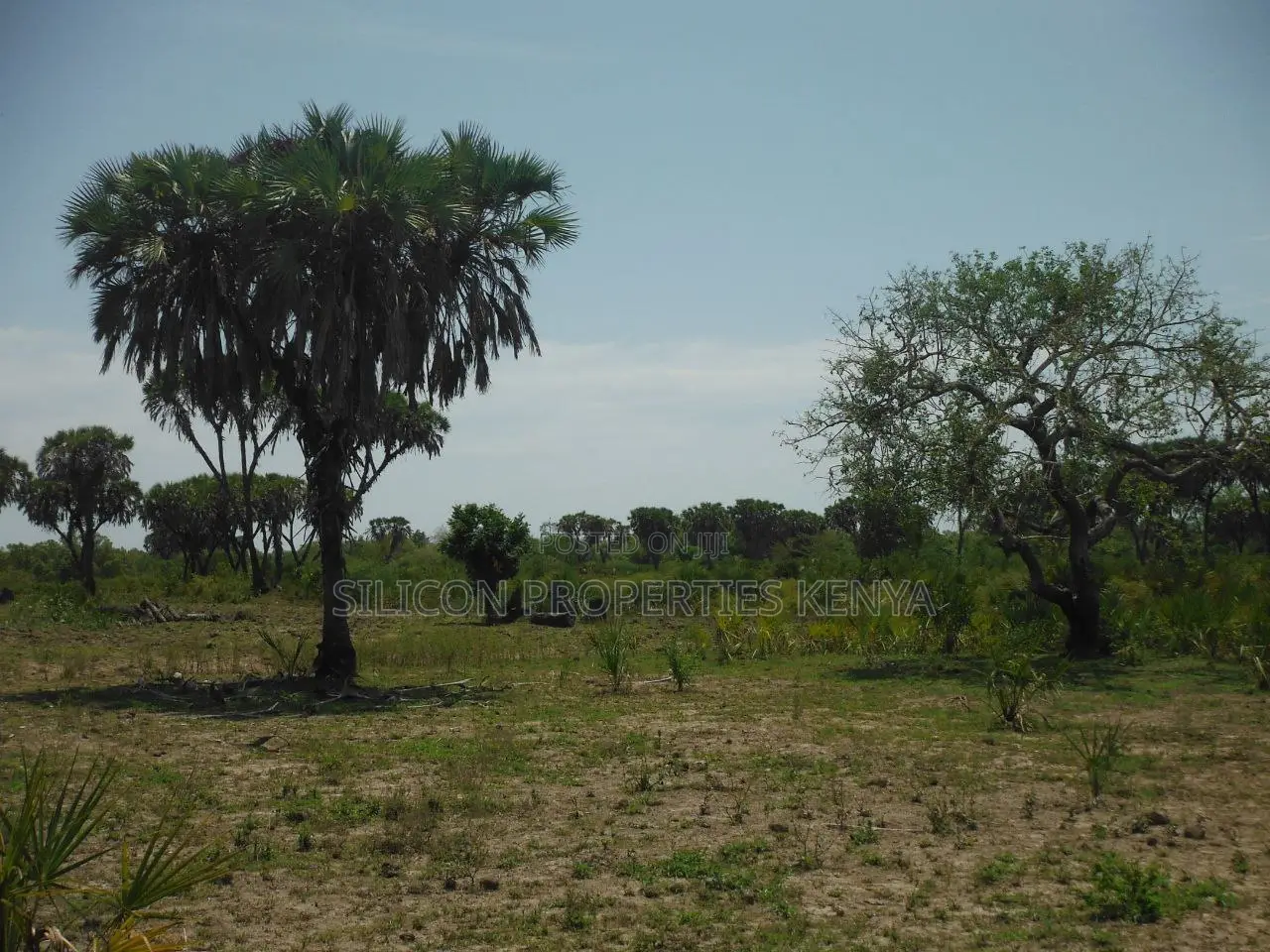 20-Acre Plot in Kidimu, Kwale County