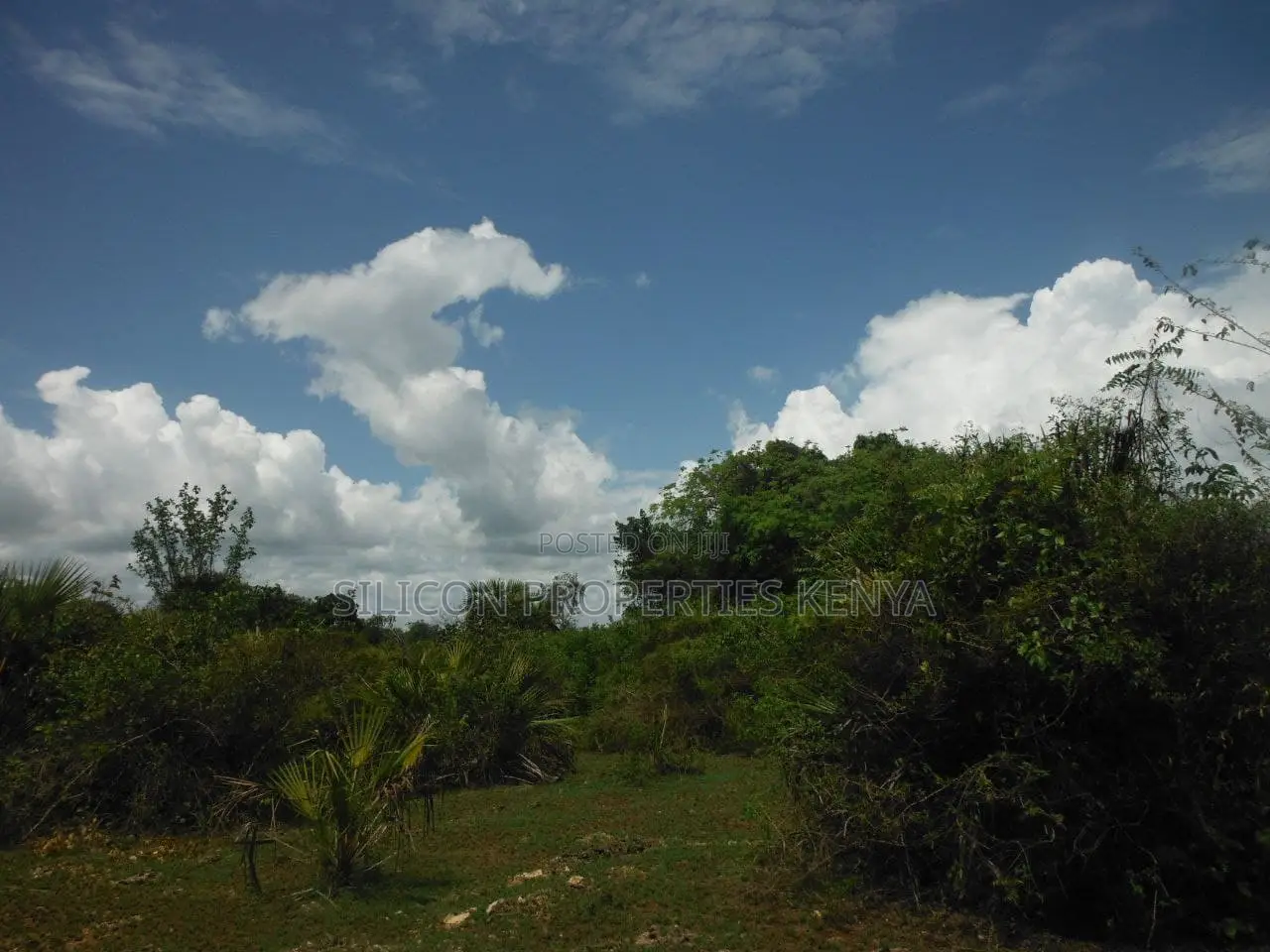 3.5-Acre Plot in Msambweni