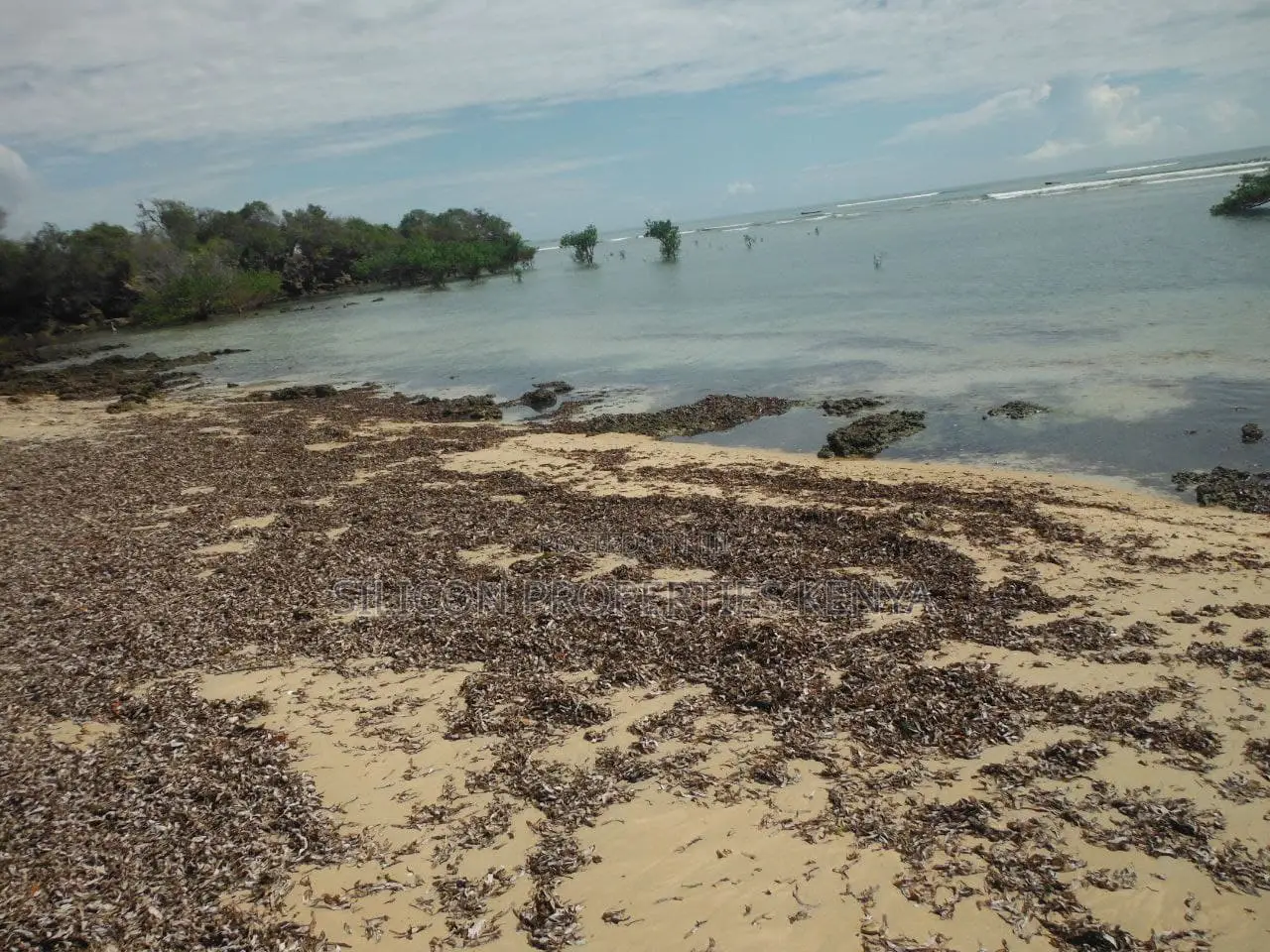 5-Acre Coral Beachfront Plot in Msambweni