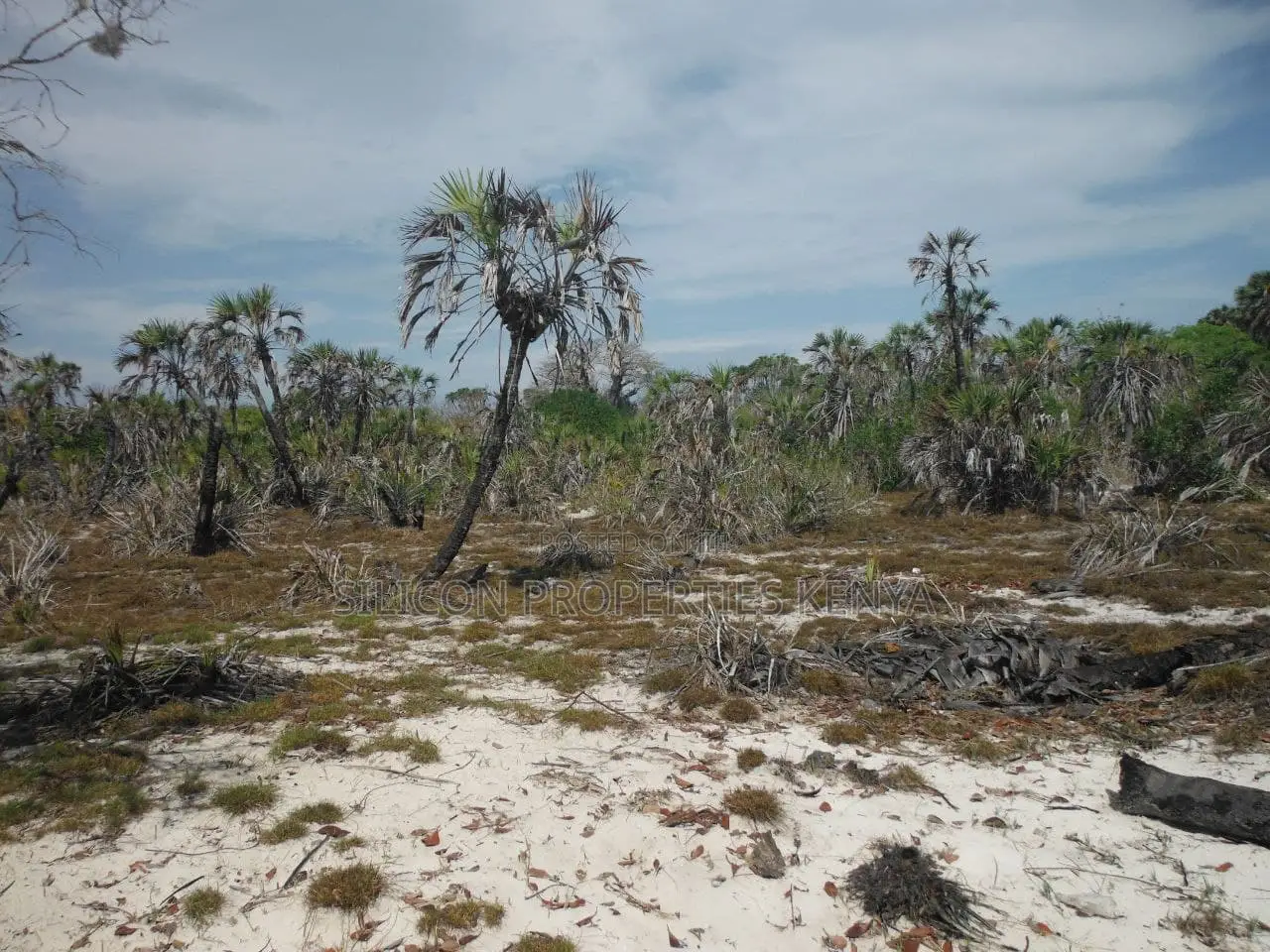 1-Acre Beachfront Plot in Msambweni (Funzi)