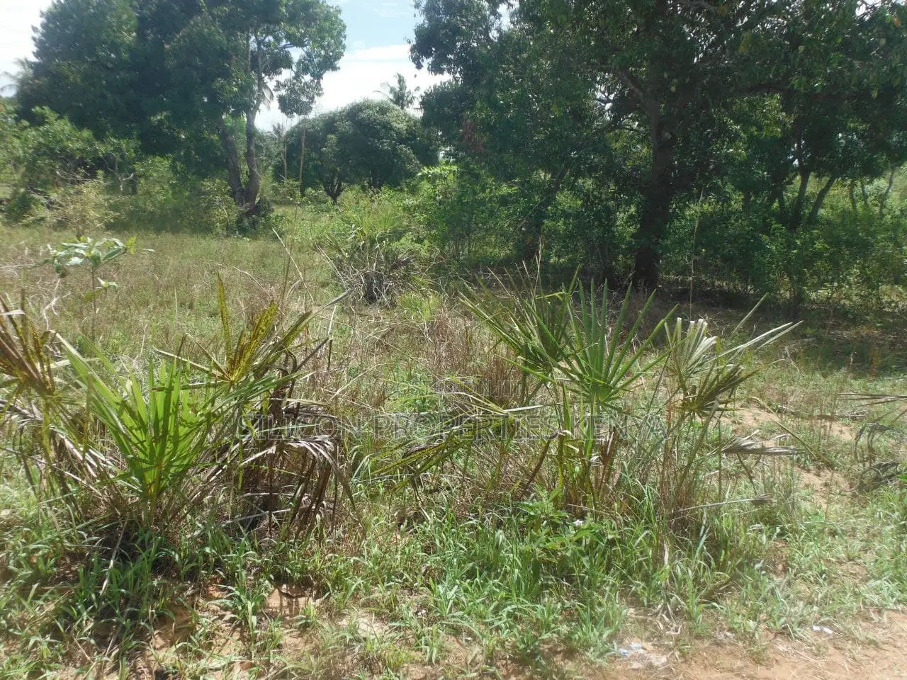 0.25-Acre Plot in Mvindeni