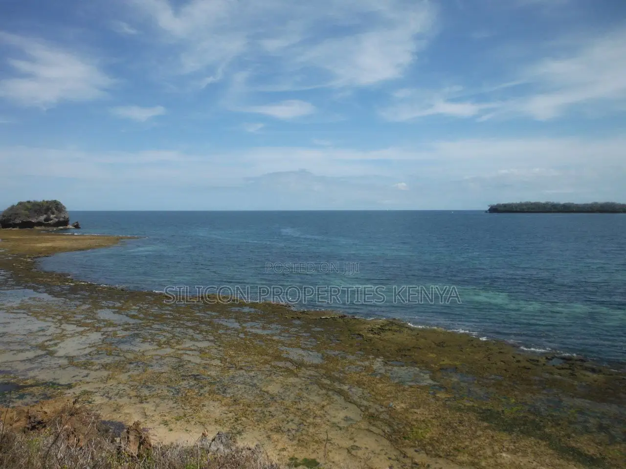 Stunning Coral Land in Shimoni