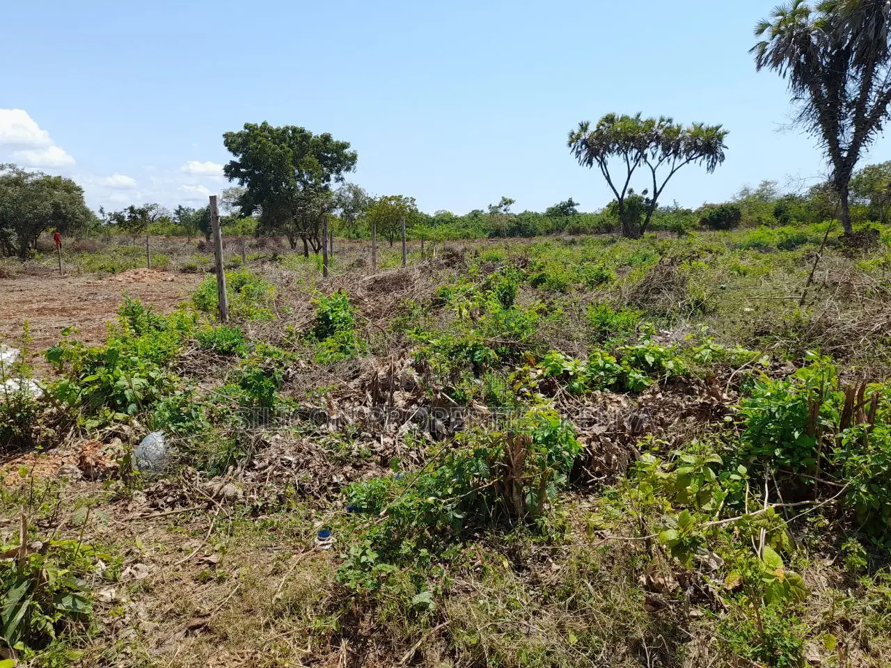 0.25 Acre in Diani, Galu Area