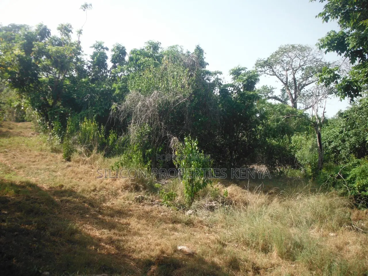 0.25 Acres for Sale in Shimoni