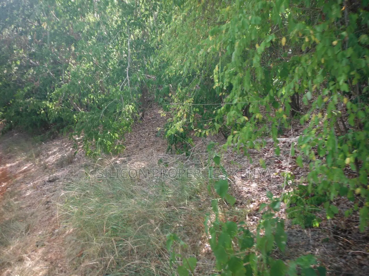 0.25 Acres for Sale in Shimoni