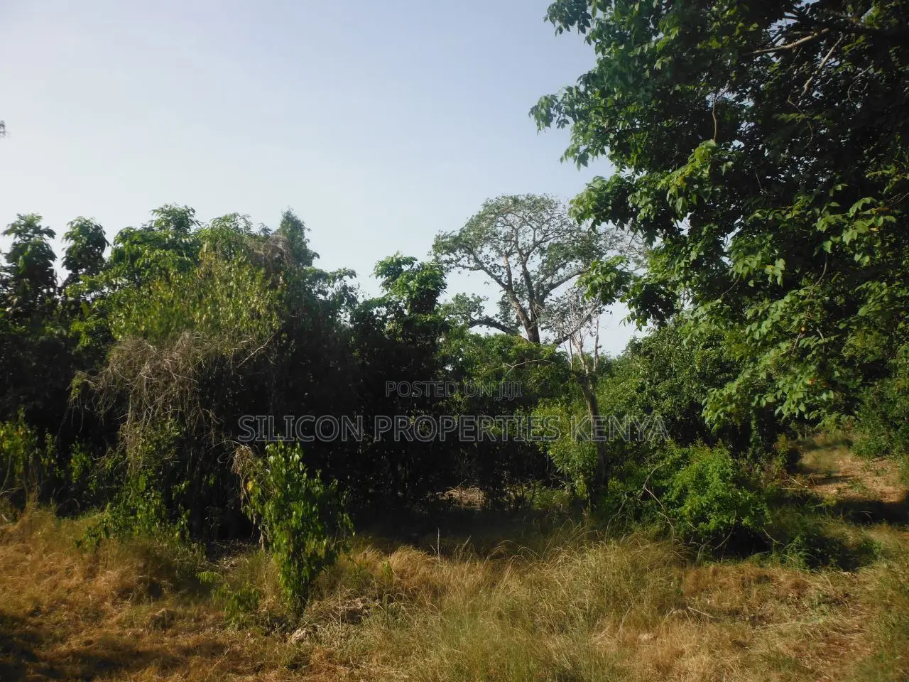 0.25 Acres for Sale in Shimoni