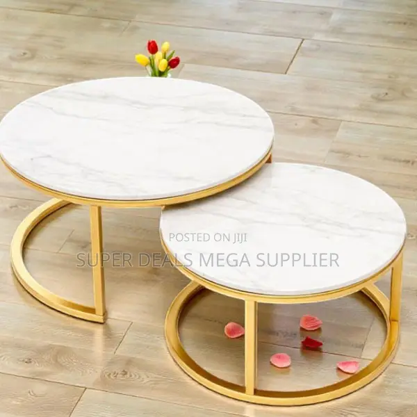Contemporary Nesting Tables Marble Top 2 Pieces Round Coffee Table