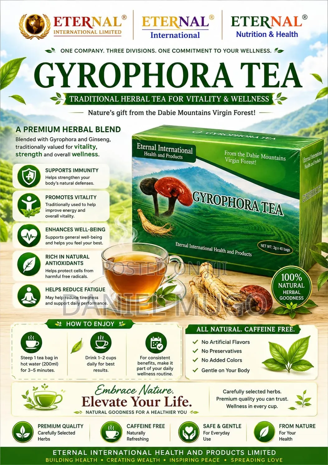 Gyrophora Tea