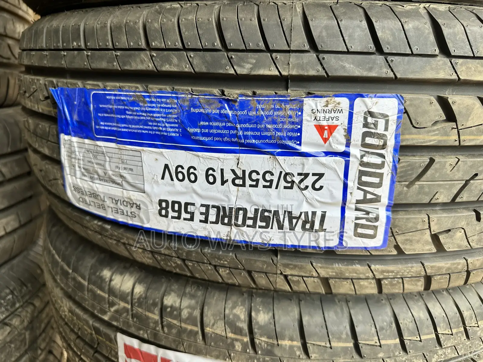 225/55r19 Goddard