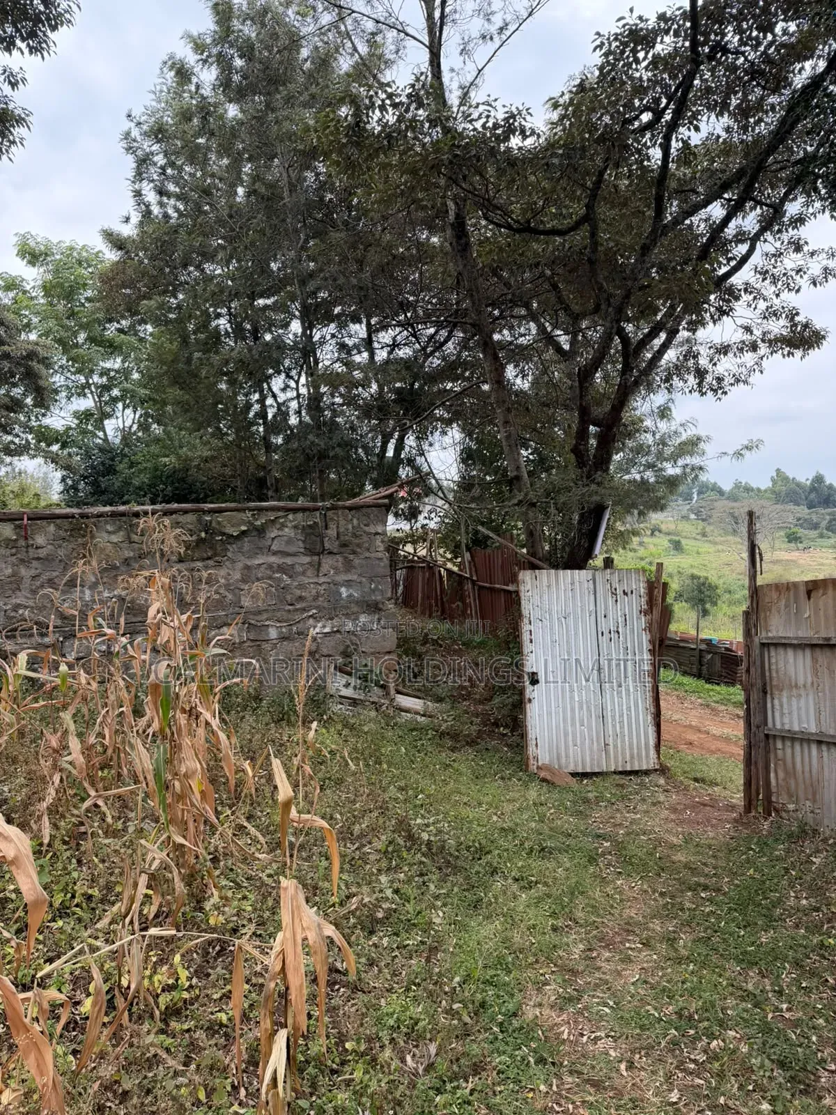 Distress Sale! Prime Half Acre in Olkeri, Ngong at Kes 9.7M