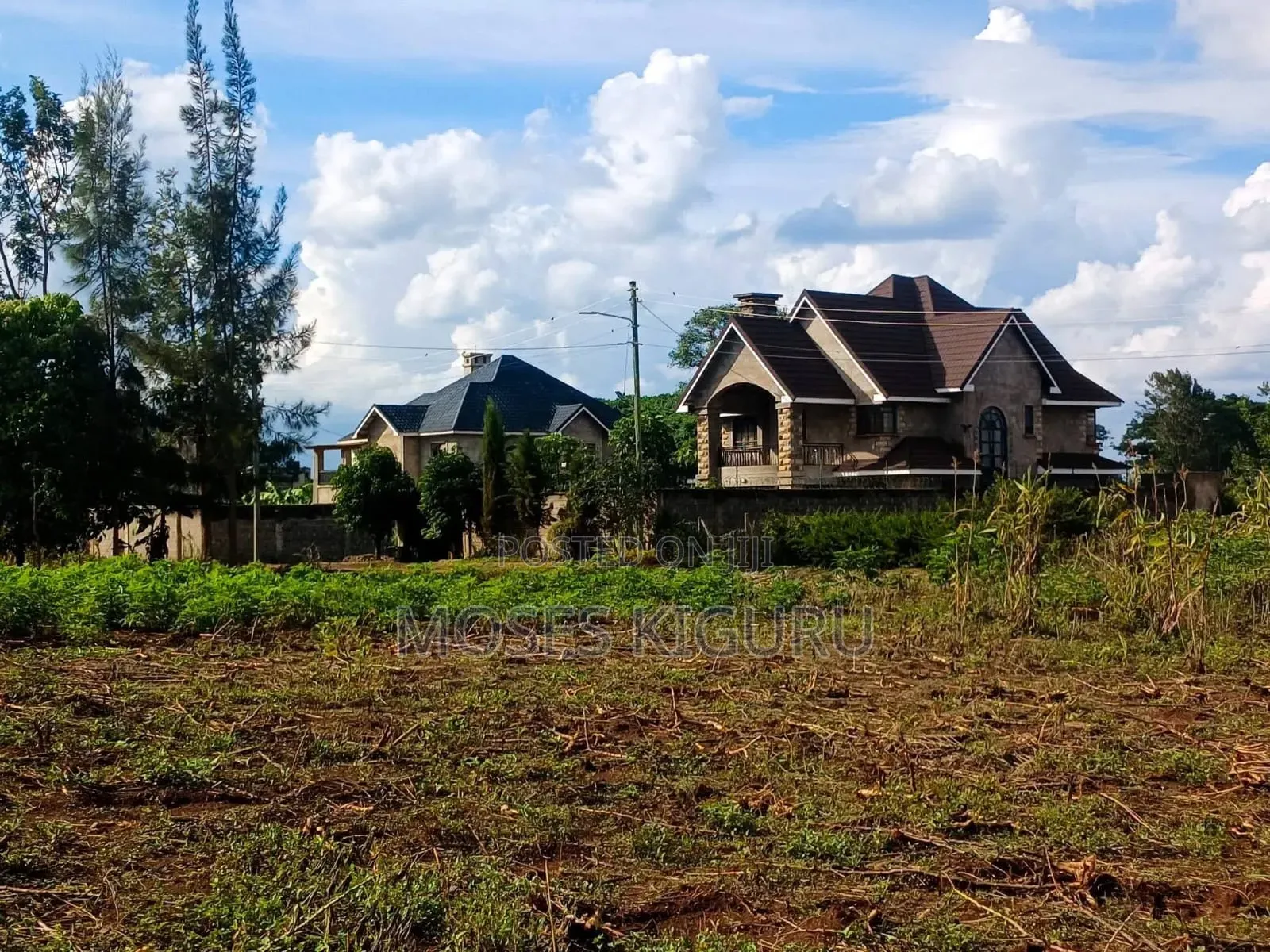 Kenyatta Road, Croton Ridge, 50x100 Plots.