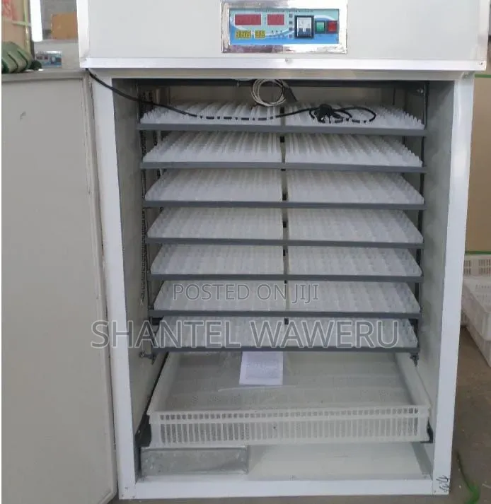Egg Incubator 64 Eggs Automatic Incubator