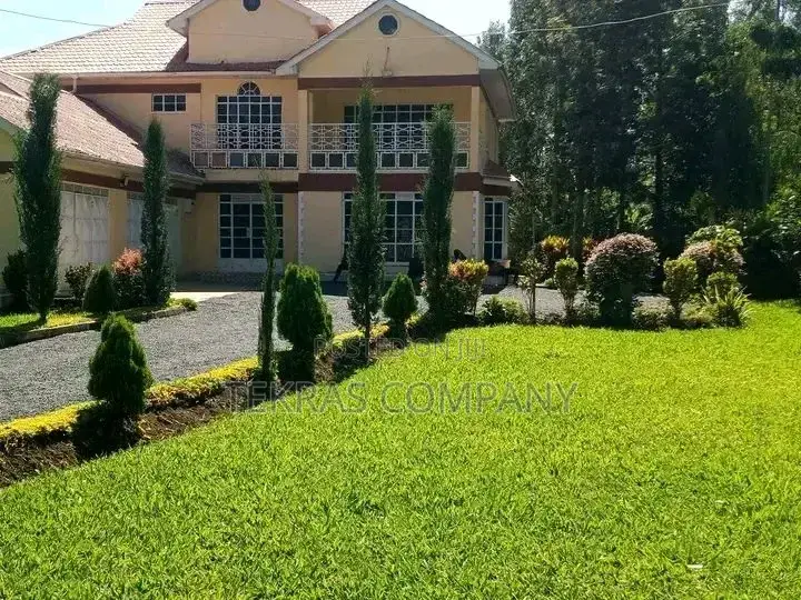 Cleaning and Landscaping