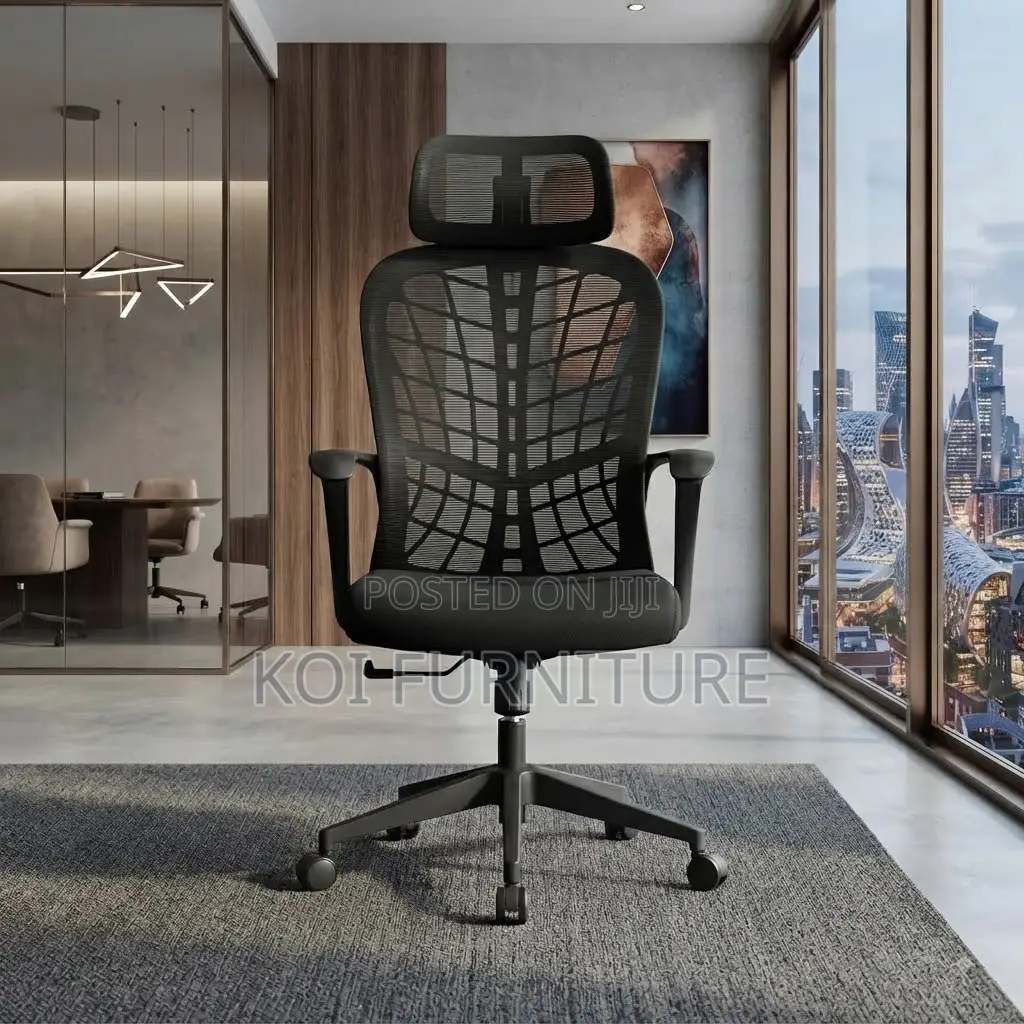 Office Chairs; Ergonomic Office Chairs With Web Backtrest