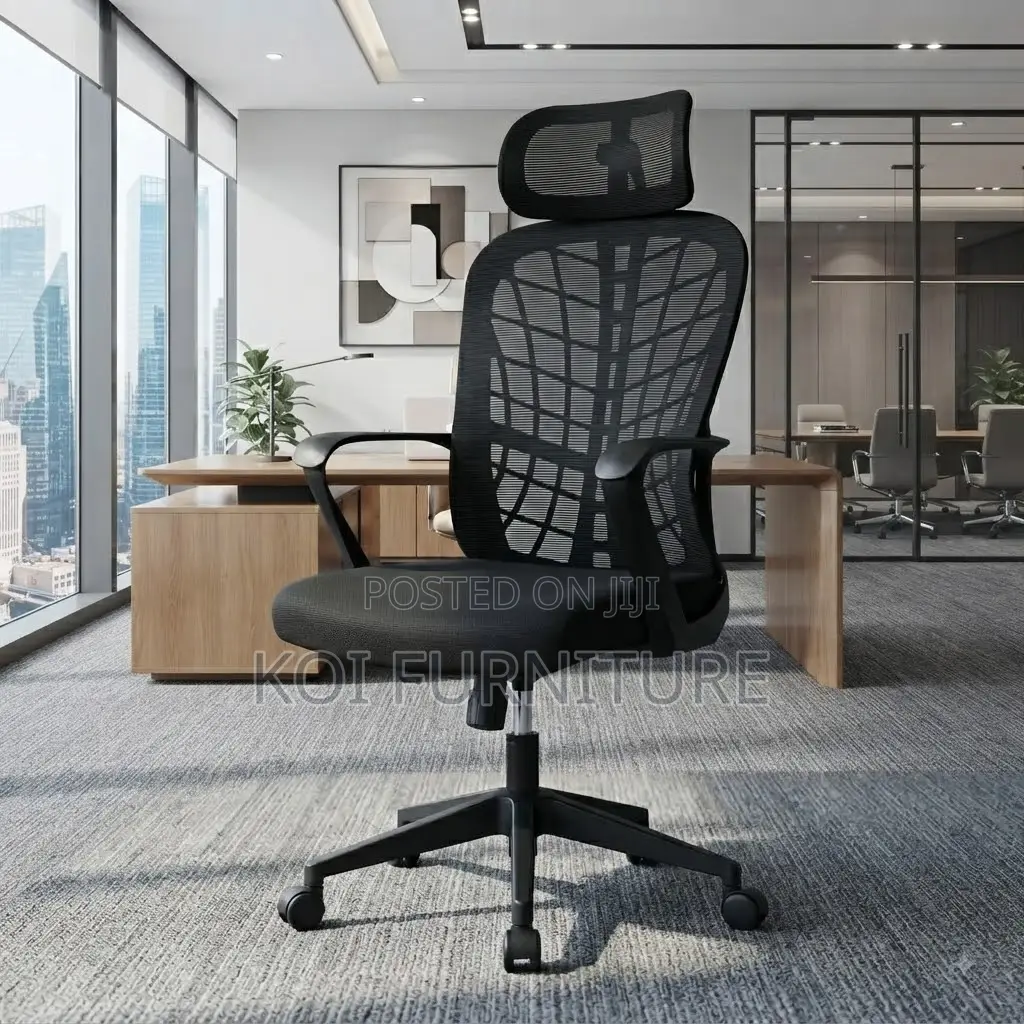 Office Chairs; Ergonomic Office Chairs With Web Backtrest